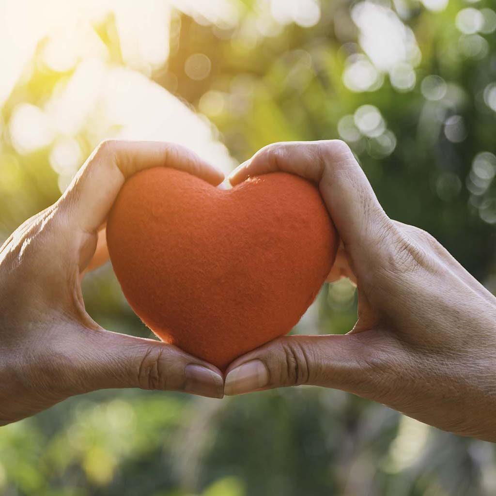 hands hold a felt heart